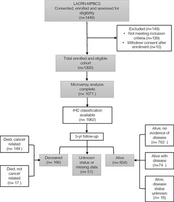 The Transcriptomic Portrait of Locally Advanced Breast Cancer and Its Prognostic Value in a Multi-Country Cohort of Latin American Patients